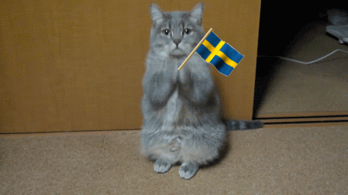 3451sverigecat.gif