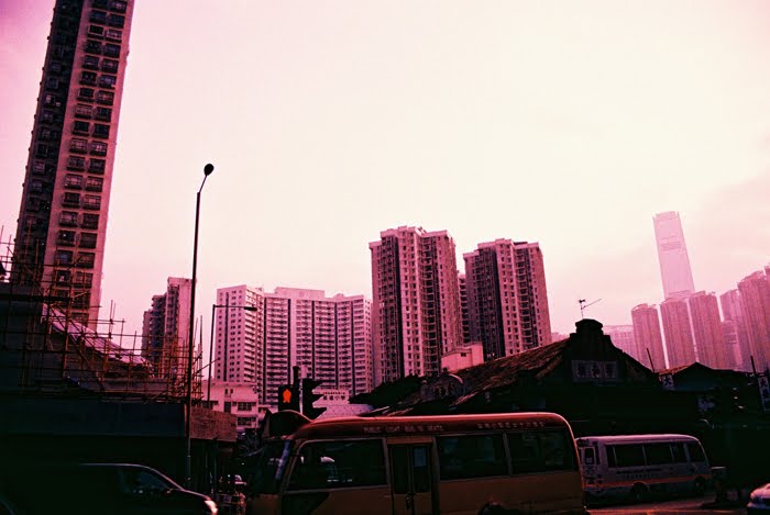 4189.jpg