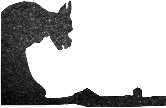 4557Ill1_7.jpg