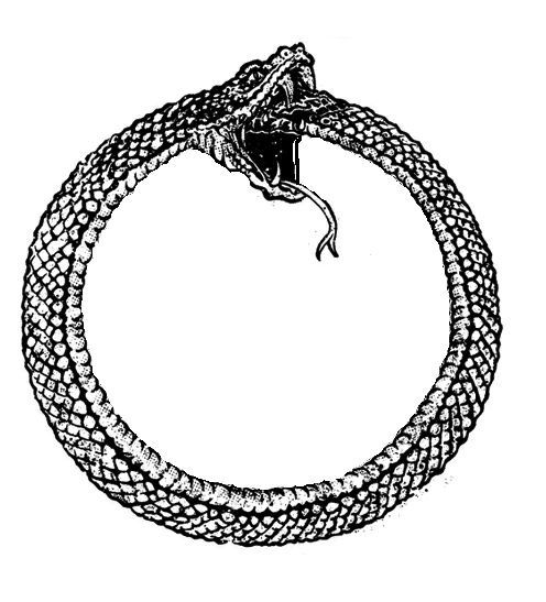 4785snake.jpg