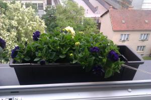 4736IMAG0223.jpg